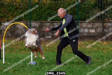 IMG_2345.jpg