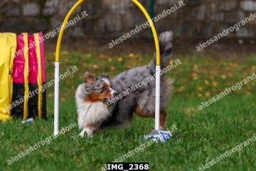 IMG_2368.jpg