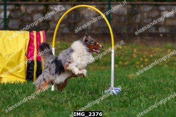 IMG_2376.jpg