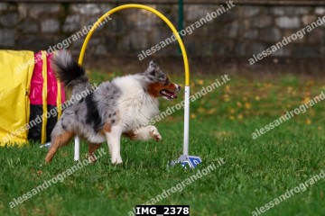 IMG_2378.jpg