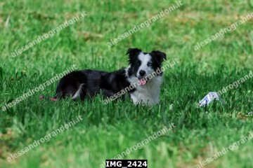 IMG_2424.jpg