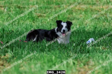 IMG_2426.jpg