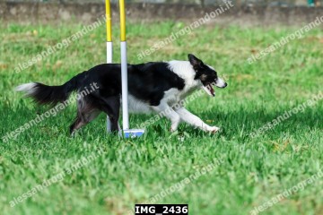 IMG_2436.jpg
