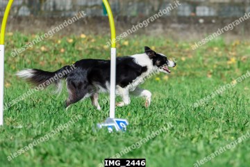 IMG_2446.jpg