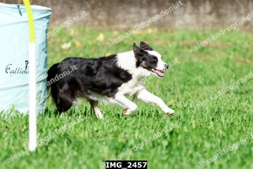 IMG_2457.jpg