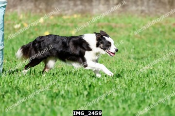 IMG_2459.jpg