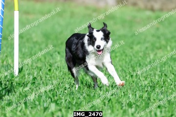 IMG_2470.jpg