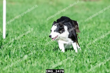 IMG_2476.jpg