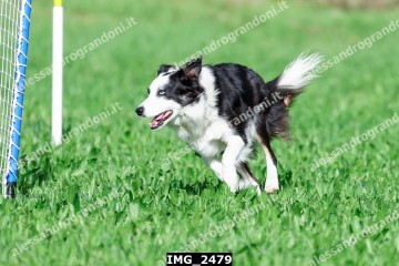 IMG_2479.jpg