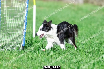IMG_2480.jpg