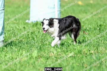 IMG_2490.jpg