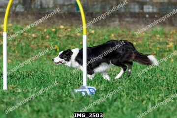 IMG_2503.jpg