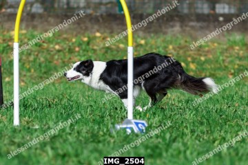 IMG_2504.jpg