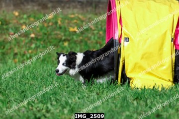 IMG_2509.jpg