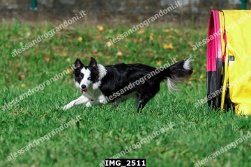 IMG_2511.jpg