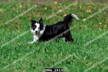 IMG_2513.jpg