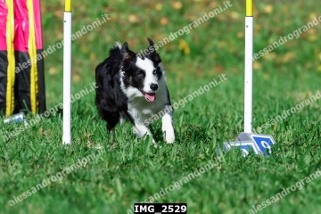 IMG_2529.jpg