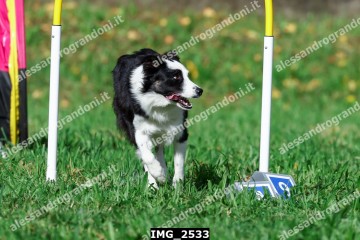 IMG_2533.jpg