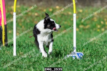 IMG_2535.jpg