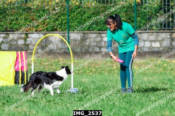 IMG_2537.jpg