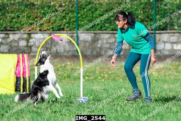 IMG_2544.jpg