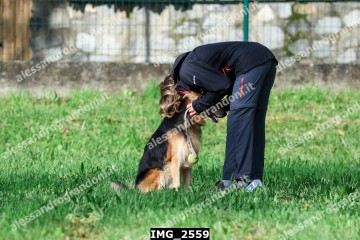 IMG_2559.jpg