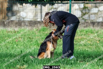 IMG_2563.jpg