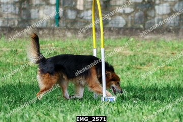 IMG_2571.jpg