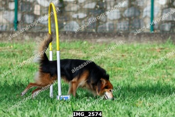 IMG_2574.jpg