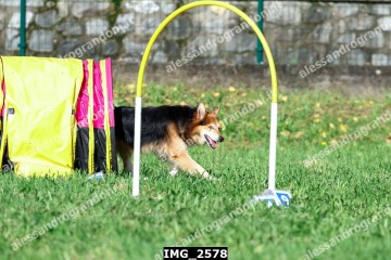 IMG_2578.jpg