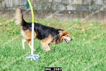 IMG_2587.jpg