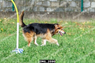 IMG_2590.jpg