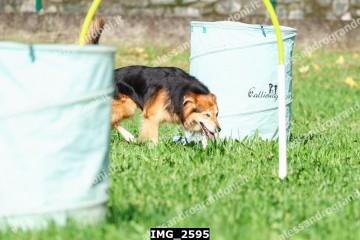 IMG_2595.jpg