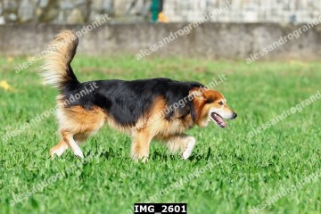 IMG_2601.jpg