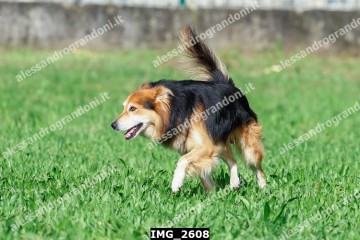 IMG_2608.jpg
