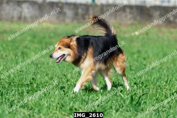 IMG_2610.jpg