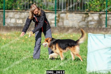 IMG_2612.jpg