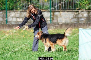 IMG_2614.jpg