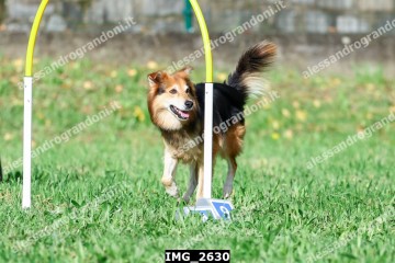 IMG_2630.jpg