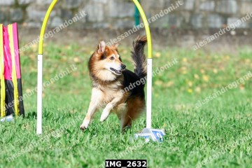 IMG_2632.jpg