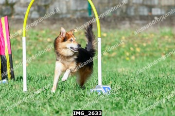 IMG_2633.jpg