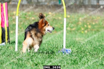 IMG_2639.jpg