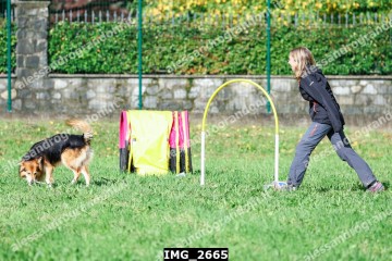 IMG_2665.jpg