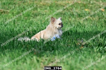 IMG_2764.jpg
