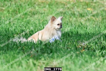 IMG_2778.jpg