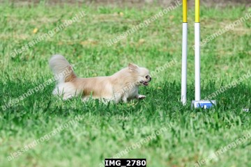 IMG_2780.jpg