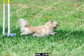 IMG_2784.jpg