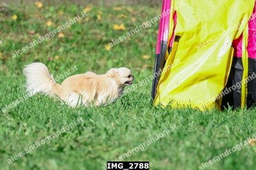 IMG_2788.jpg