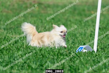 IMG_2803.jpg