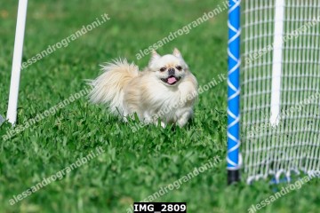 IMG_2809.jpg